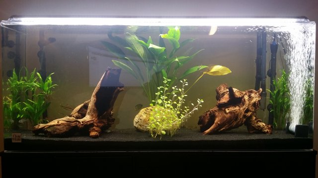 2016-06-17 23.52.39.jpg