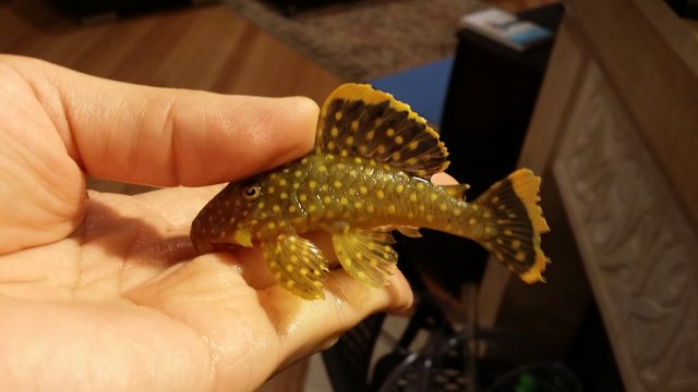 2016-03-30 20.35.30.jpg