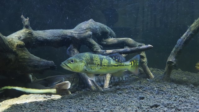 20160527_180602.jpg