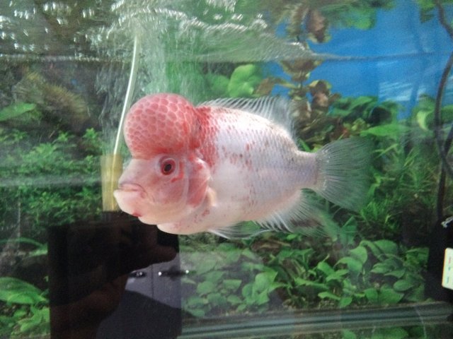 image.jpeg image.jpeg