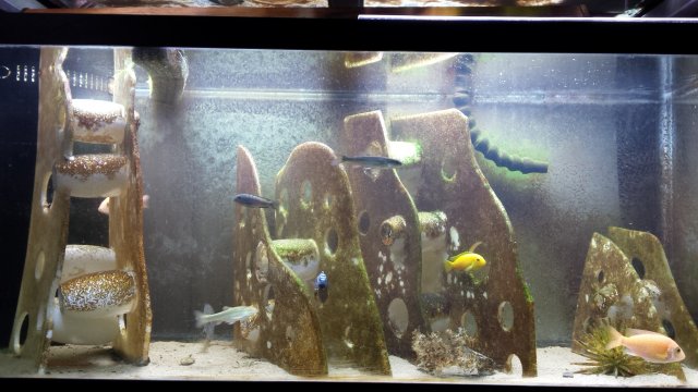 20160618_200052.jpg 20160618_200052.jpg