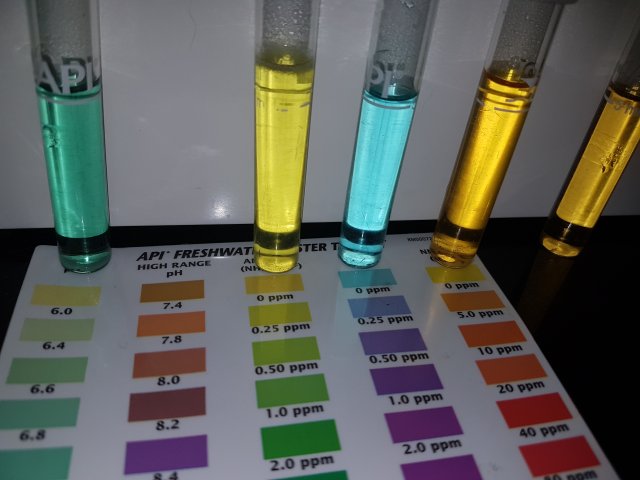 20160620_102153.jpg 20160620_102153.jpg