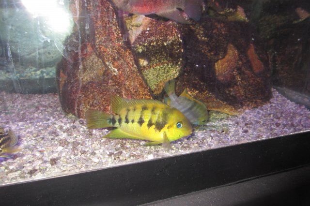 IMG_1623.jpg IMG_1623.jpg