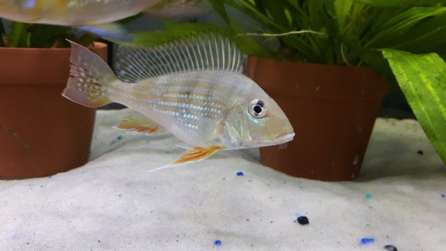 20160408_124518.jpg