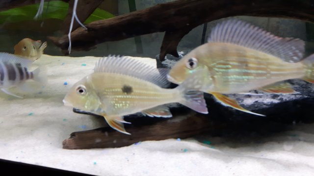 20160415_182713.jpg
