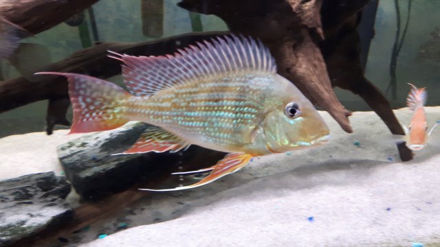 20160620_171545.jpg