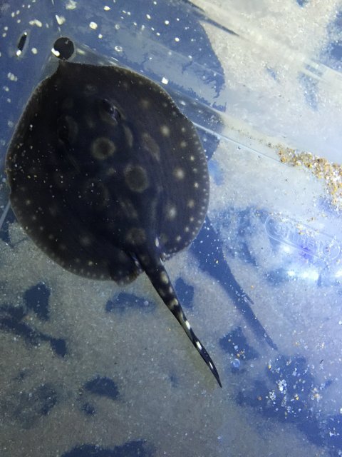 IMG_2278.JPG IMG_2278.JPG