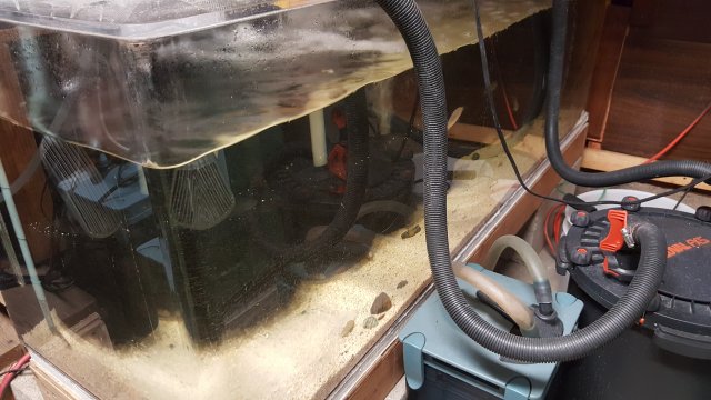 20160620_154220.jpg
