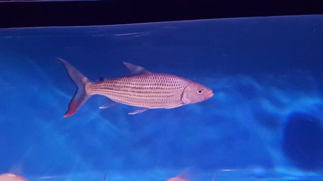20160616_002803.jpg