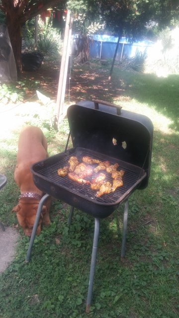 20160622_160527.jpg
