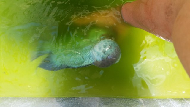 20160622_152819[1].jpg