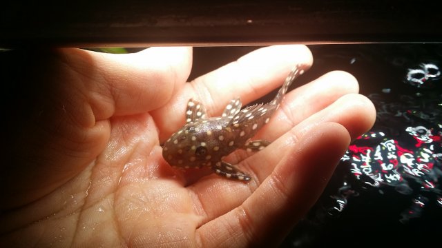 2016-06-15 19.30.48.jpg 2016-06-15 19.30.48.jpg