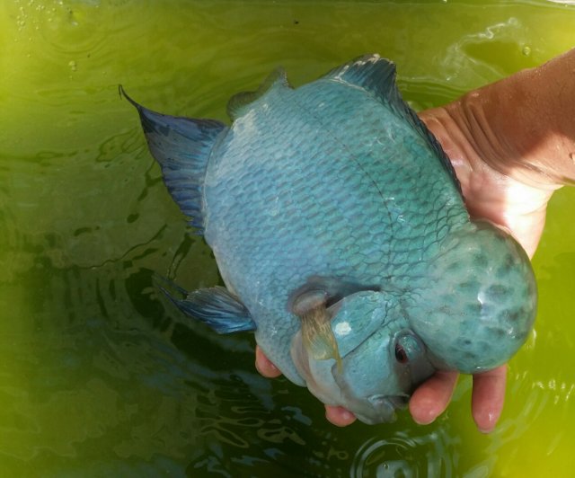 20160622_224748[1].jpg