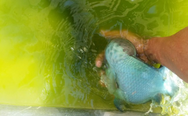 20160622_221349[1].jpg