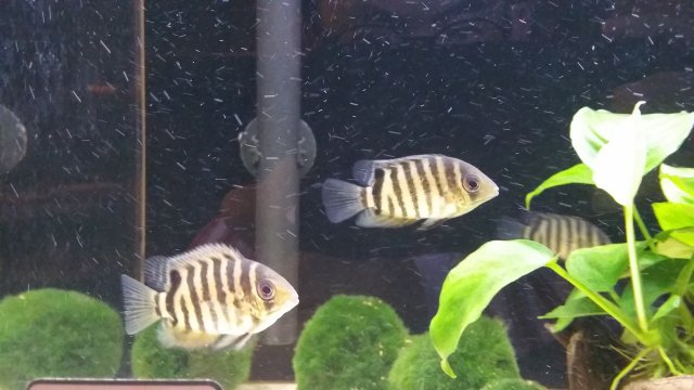 2016-06-22 21.33.44.jpg 2016-06-22 21.33.44.jpg