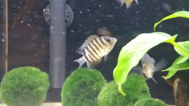 2016-06-22 21.34.27.jpg 2016-06-22 21.34.27.jpg