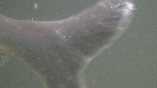 20160624_002801.jpg