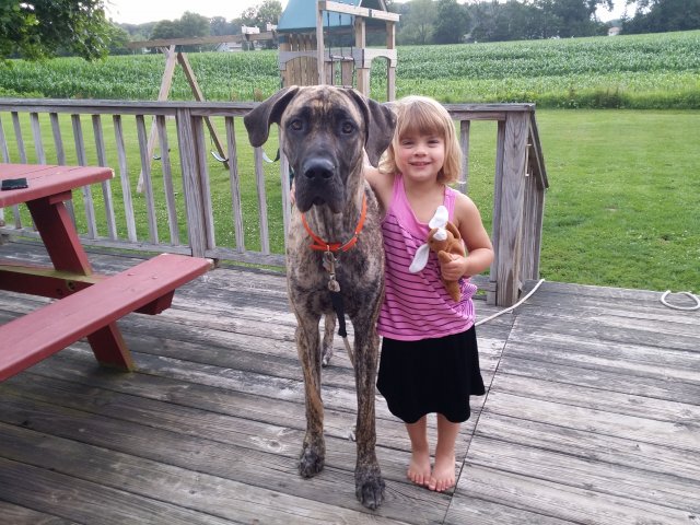 20150717_192304.jpg