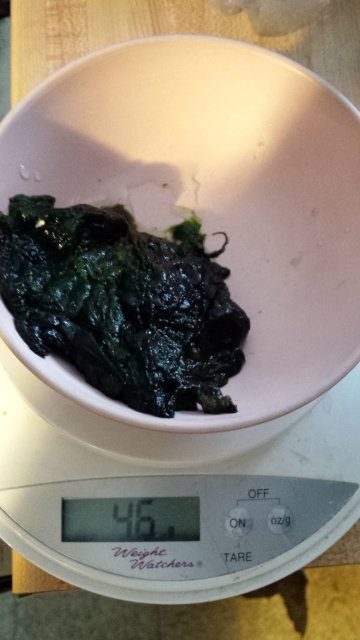 20160625_114116.jpg