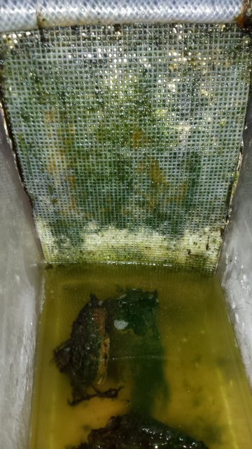 20160625_103847.jpg