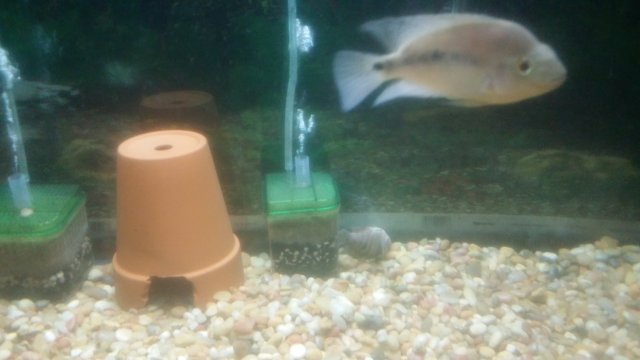 20160627_042401.jpg