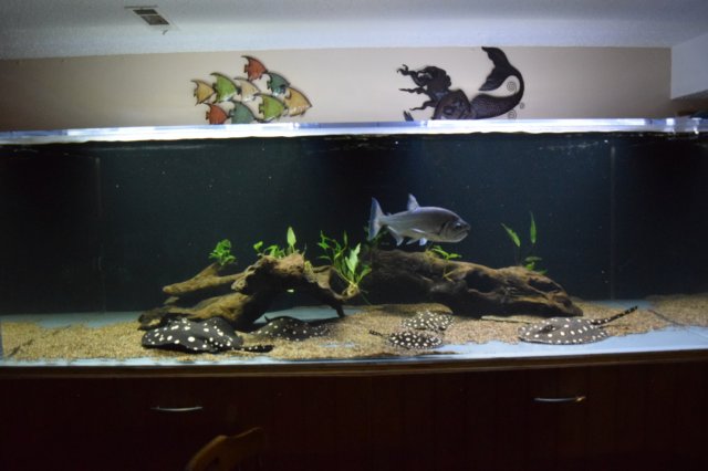 DSC_1219.JPG