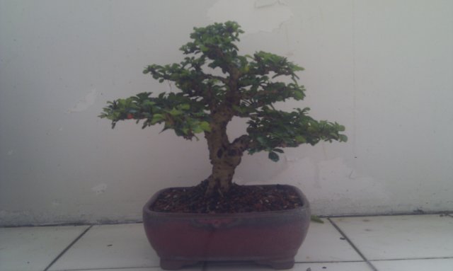 2012-07-14 16.23.38.jpg