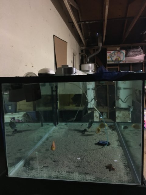 image.jpeg image.jpeg