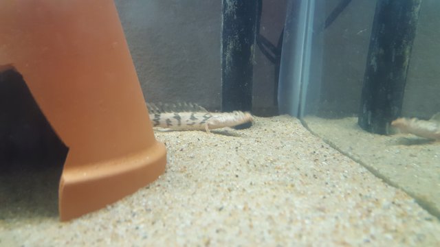 20160628_212042.jpg