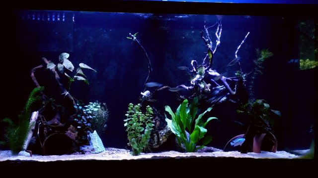 2016-07-01 18.40.01.jpg