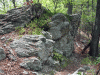 Rocks&Ferns.gif Rocks&Ferns.gif