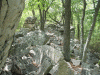 Boulders4.gif Boulders4.gif