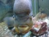 DSC00277.JPG