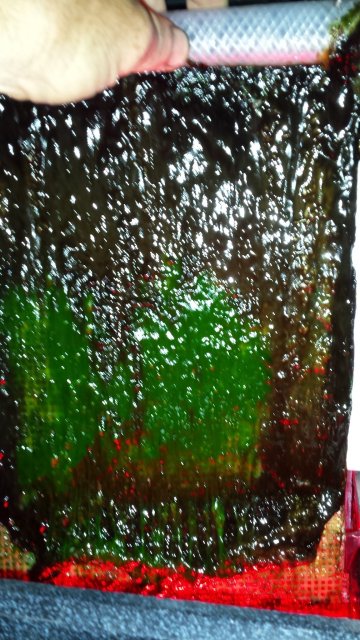 20160703_074709.jpg