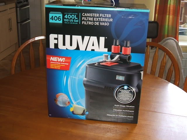 2012_0308flu0004.jpg