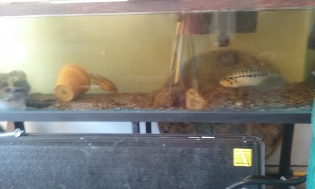 20160704_124844.jpg