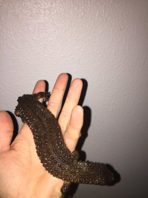 image.jpeg image.jpeg