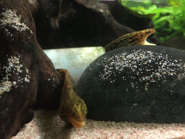 image.jpeg image.jpeg