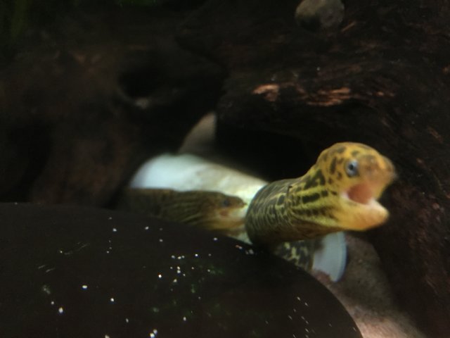 image.jpeg image.jpeg