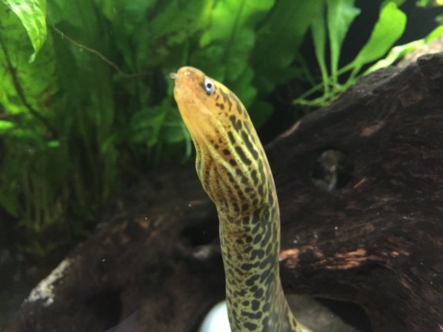 image.jpeg image.jpeg