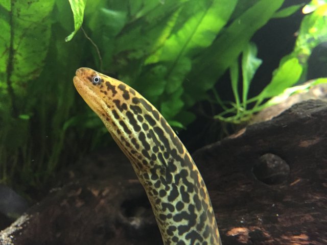 image.jpeg image.jpeg