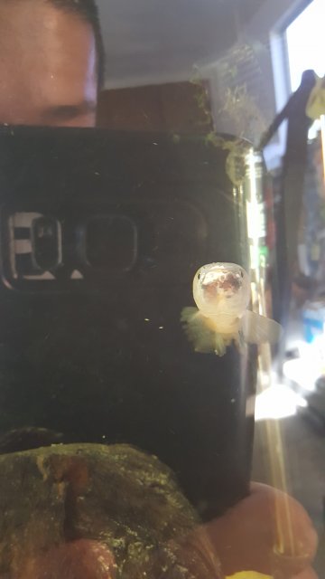 20160708_181919.jpg 20160708_181919.jpg