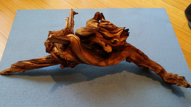 20160709_130549.jpg