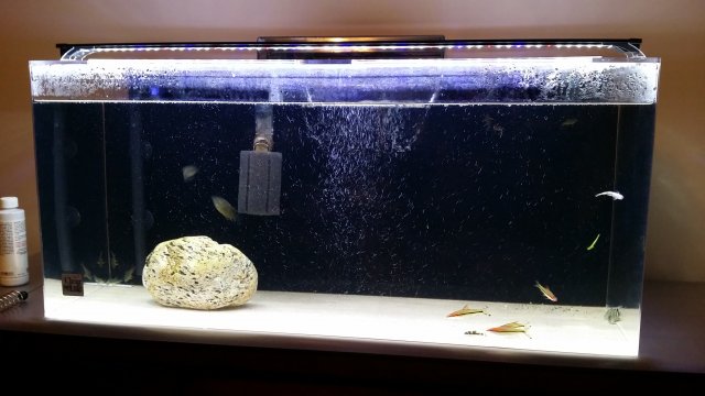 20160709_133816.jpg