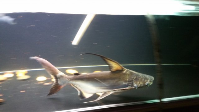 20160629_084546.jpg