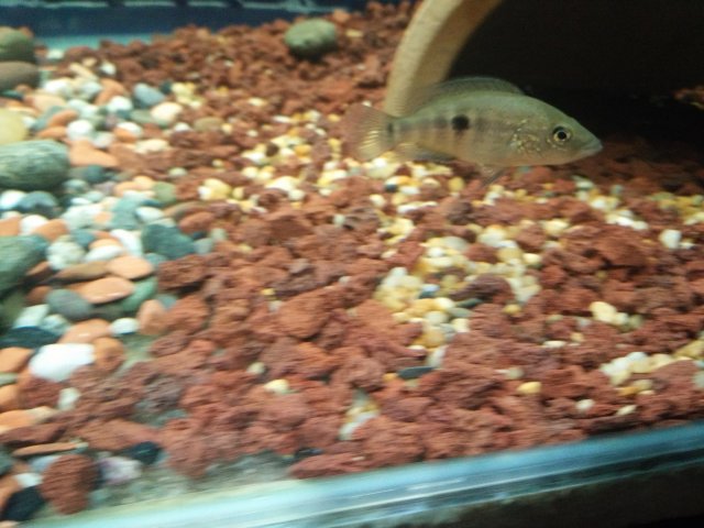 IMG20160710155824.jpg