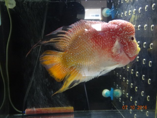 DSC00244.JPG
