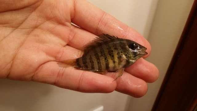 20160710_175549.jpg