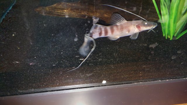 20160711_184518.jpg 20160711_184518.jpg