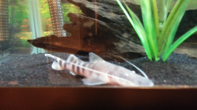 20160711_184435.jpg 20160711_184435.jpg